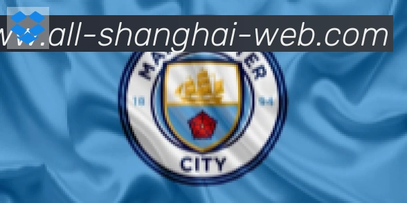 上海体彩合作伙伴